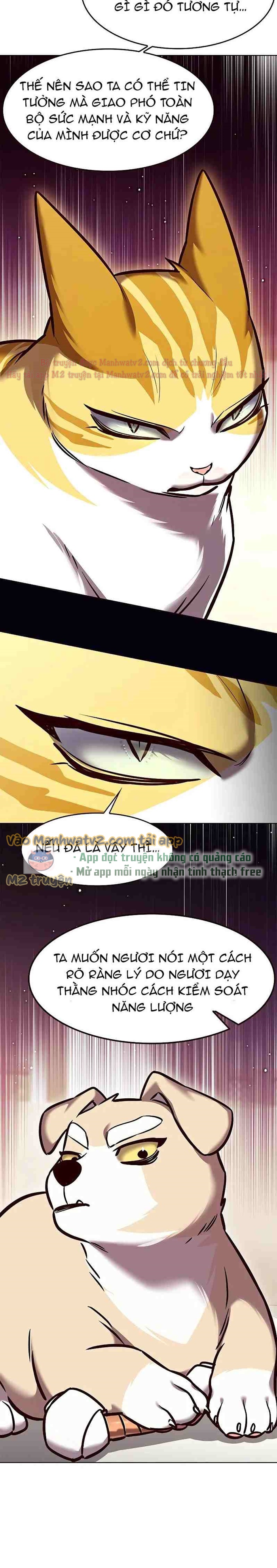 Đọc truyện Hóa thân thành mèo (Bản Free) - Chap 285